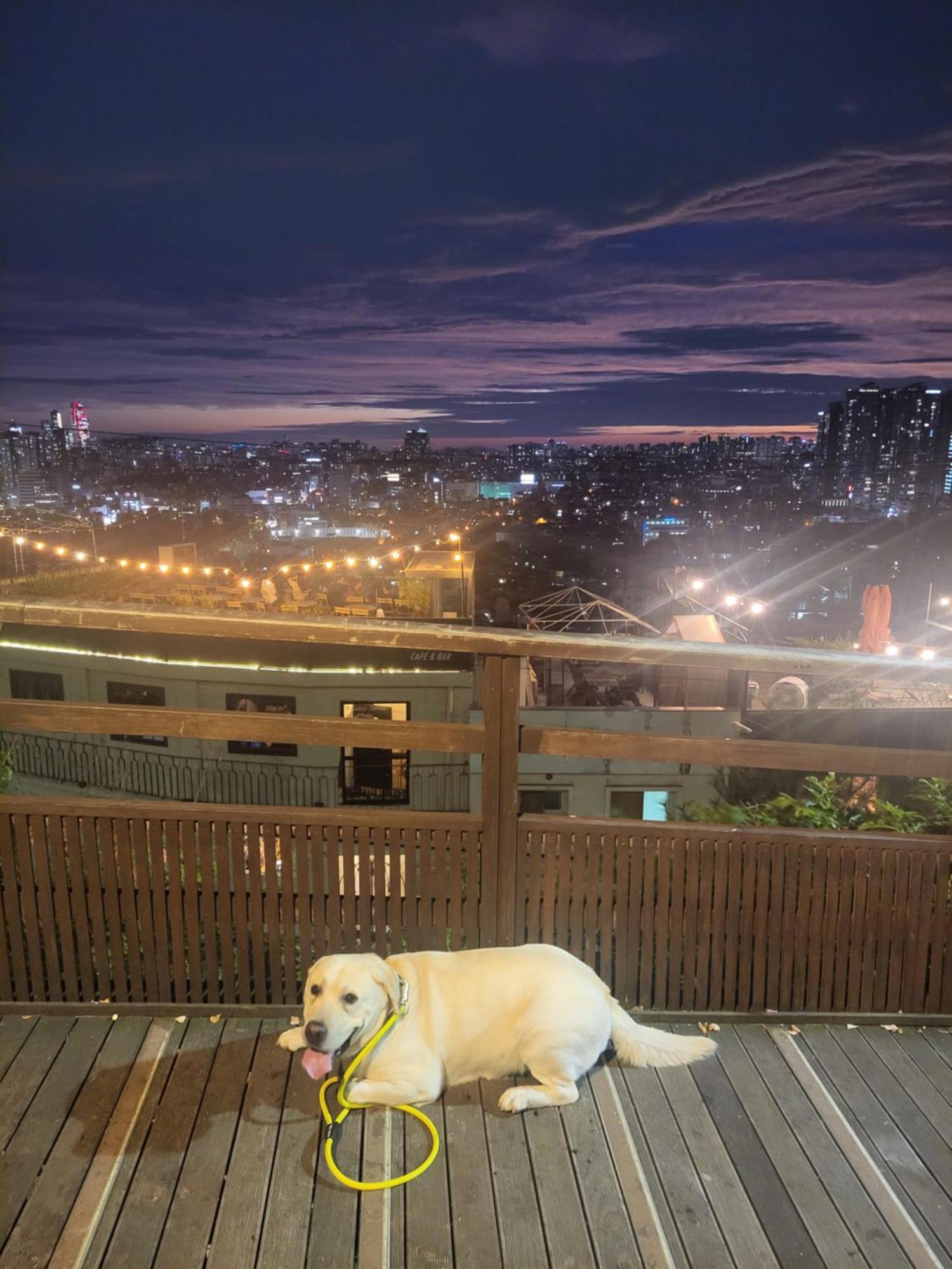 Brand New 2 Bedroom Apartment #6 ソウル特別市 エクステリア 写真