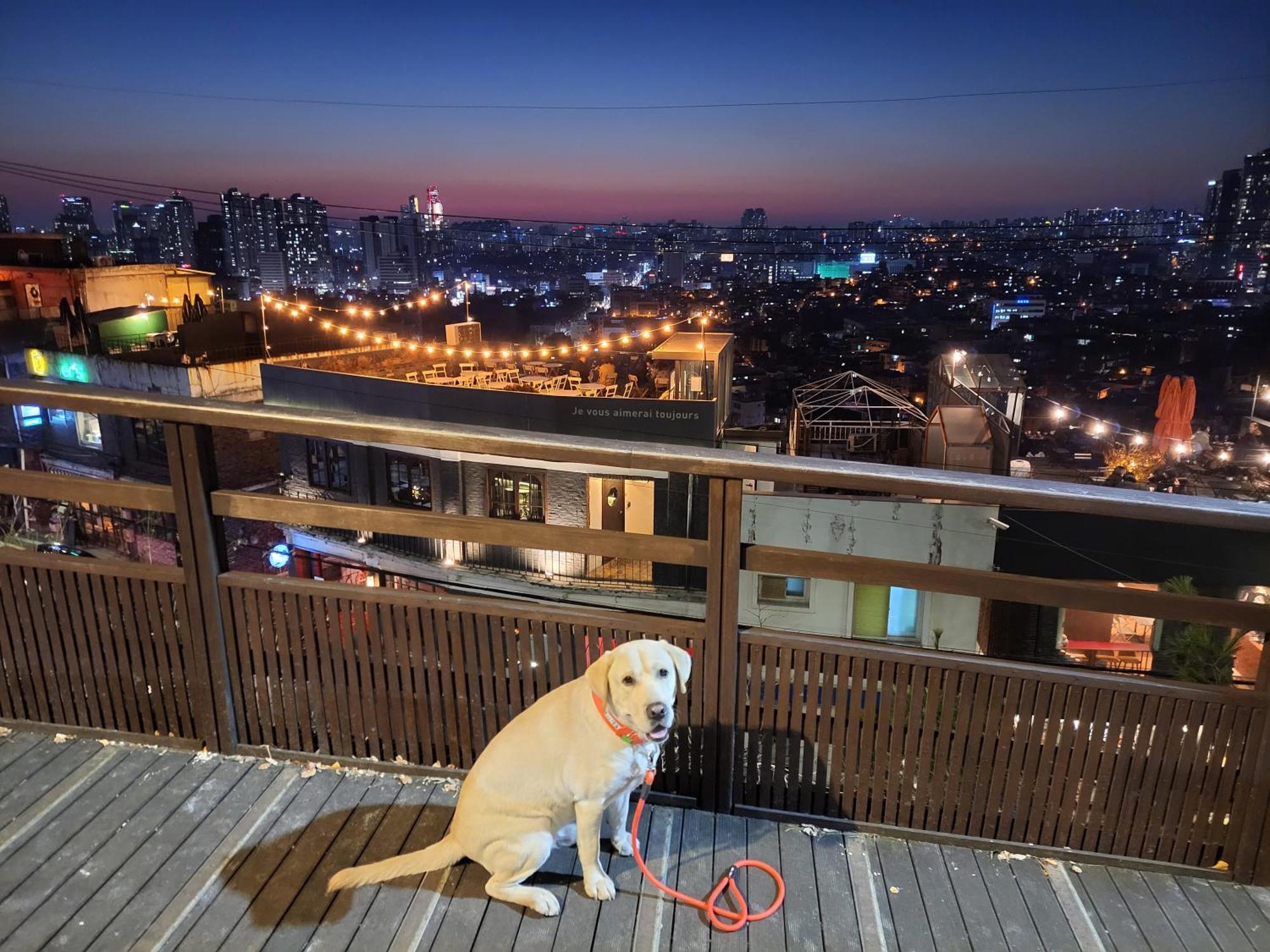 Brand New 2 Bedroom Apartment #6 ソウル特別市 エクステリア 写真
