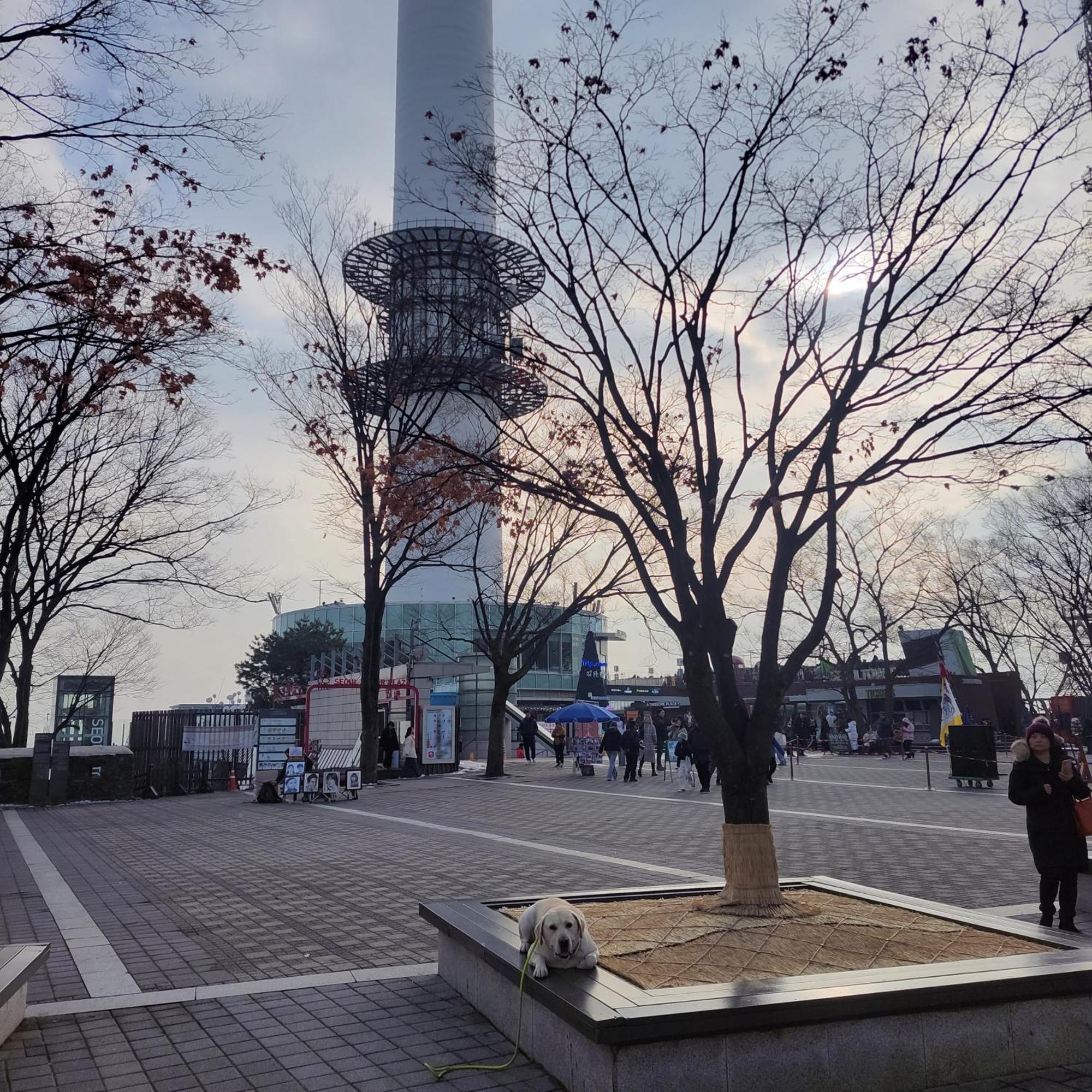 Brand New 2 Bedroom Apartment #6 ソウル特別市 エクステリア 写真